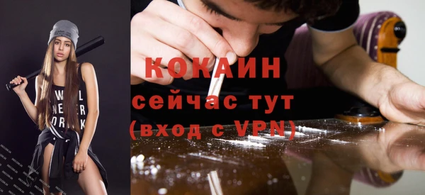 стаф Карпинск