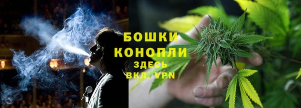 стаф Карпинск