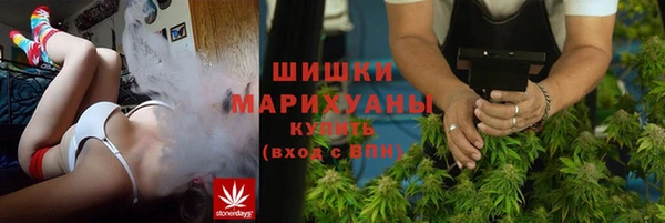 стаф Карпинск