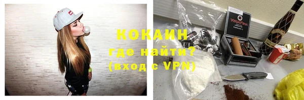 стаф Карпинск