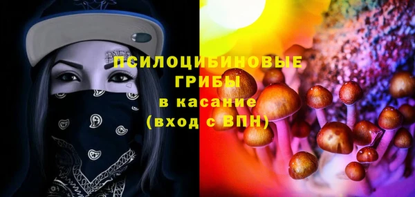 стаф Карпинск